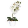 Dekoblume Phalaenopsis Orchidee DRINTOR, Keramiktopf, Wurzeln, weiß-grün, 40cm