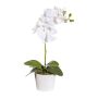 Dekoblume Phalaenopsis Orchidee TRALKE, Dekotopf, Wurzeln, weiß, 40cm