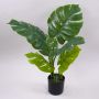 Kunstpflanze Philodendron monstera deliciosa CUNKYN im Dekotopf, 60cm