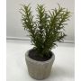 Kunstpflanze Rosmarin POLINDA im Dekotopf, grün, 26cm