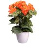 Künstliche Blume Begonie SYLINA, weißer Dekotopf, orange, 35cm