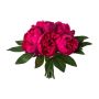 Kunstblumen Strauß Pfingstrose SIRKO, cerise, 30cm