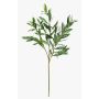 Kunst Olivenzweig BRANDAR, crossdoor, grün, 70cm
