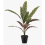 Fake Pflanze Calathea Makoyana WIDO im Dekotopf, grün-burgunderrot, 60cm