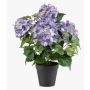 Künstliche Hortensie DORJA im Dekotopf, lila, 40cm