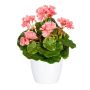 Deko Blume Geranie CRONVEL, Keramiktopf, crossdoor, rosa, 25cm