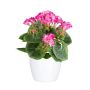 Deko Blume Geranie CRONVEL, Keramiktopf, crossdoor, pink, 25cm