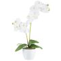Kunst Phalaenopsis Orchidee KRUZBER, Keramiktopf, Wurzeln, weiß, 55cm
