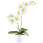 Kunst Phalaenopsis Orchidee KRUZBER, Keramiktopf, Wurzeln, weiß-grün, 55cm