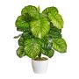 Fake Pflanze Calathea Orbifolia BLAHEN, Keramiktopf, grün, 50cm