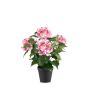 Künstliche Hortensie DORJA im Dekotopf, rosa, 40cm
