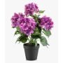 Künstliche Hortensie DORJA im Dekotopf, violett, 40cm