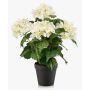 Künstliche Hortensie DORJA im Dekotopf, weiß-grün, 40cm