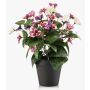 Stiefmütterchen künstlich NORHA im Dekotopf, pink-lila-weiß, 30cm