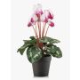 Künstliche Alpenveilchen VERIANA im Dekotopf, weiß-pink, 30cm