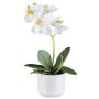 Textil Phalaenopsis Orchidee WERKAN, Keramiktopf, Wurzeln, weiß, 27cm