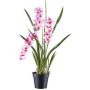 Deko Blume Cymbidium Orchidee KLORVEN, Wurzeln, weiß-lila, 80cm