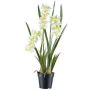 Deko Blume Cymbidium Orchidee KLORVEN, Wurzeln, weiß-grün, 80cm