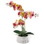 Kunst Phalaenopsis Orchidee BLORVEN, Zementschale, Wurzeln, gelb-pink, 50cm