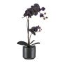 Textil Phalaenopsis Orchidee MAYAK, Keramiktopf, Wurzeln, schwarz, 50cm