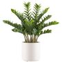 Künstliche Pflanze Zamioculcas BROLKE, Dekotopf, 85cm