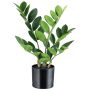 Künstliche Pflanze Zamioculcas BLUHAR, 35cm