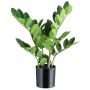 Künstliche Pflanze Zamioculcas BLUHAR, 45cm