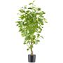 Deko Baum Eukalyptus MERNAS, Kunststamm, grün, 90cm