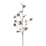 Künstlicher Zweig Eukalyptus TRAVON mit Früchten, aubergine, 75cm