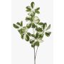 Deko Zweig Schefflera PARVANEH, grün-weiß, 110cm