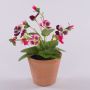 Deko Kunstblume Stiefmütterchen BAHNY im Terracottatopf, pink-weiß, 17cm