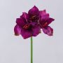 Künstliche Amaryllis SARNUK, violett, 80cm
