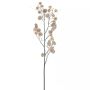 Deko Zweig Zierkürbis SOCOTRA, Früchte, braun, 85cm