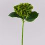 Künstliche Hortensie MYNMAR, grün, 35cm, Ø14cm