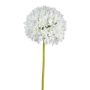 Künstliche Blume Allium KLATE, weiß, 90cm, Ø15cm