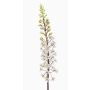 Kunstblume Steppenkerze SCHENRA, weiß-grün, 95cm