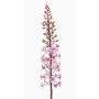 Kunstblume Steppenkerze SCHENRA, rosa, 95cm