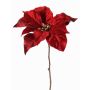 Samt Poinsettia SHEBA, rot, 55cm, Ø21cm