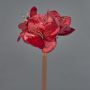 Samt Amaryllis Kunstblume KIRSTY, rot, 70cm, Ø13-15cm