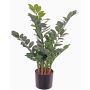 Künstlicher Zamioculcas JANGOLIE, 70cm