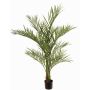Unechte Areca Palme JUMBOLINO, 150cm