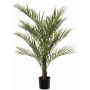 Unechte Areca Palme JUMBOLINO, 120cm