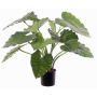 Kunstpflanze Alocasia Calidora YONCE, grün, 60cm