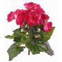 Künstliche Begonie BIRMA auf Steckstab, pink, 20cm, Ø3-5cm