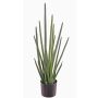 Sansevieria Cylindrica künstlich ASTARIA, grün, 95cm
