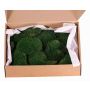 Echtes Plattenmoos DIMITRA, grün, 800g, 0,15 m2