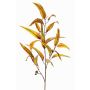 Künstlicher Eukalyptus Zweig EUSEBIOS, gelb-orange, 100cm
