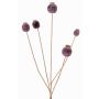 Künstlicher Mohnkapsel Zweig FILOMELA, dunkelbraun, 75cm, Ø2-3,5cm