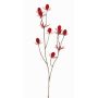 Deko Zweig Edeldistel LOUKAS, rot, 45cm, Ø1-1,5cm
