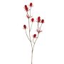 Deko Zweig Edeldistel LOUKAS, rot, 45cm, Ø1-1,5cm